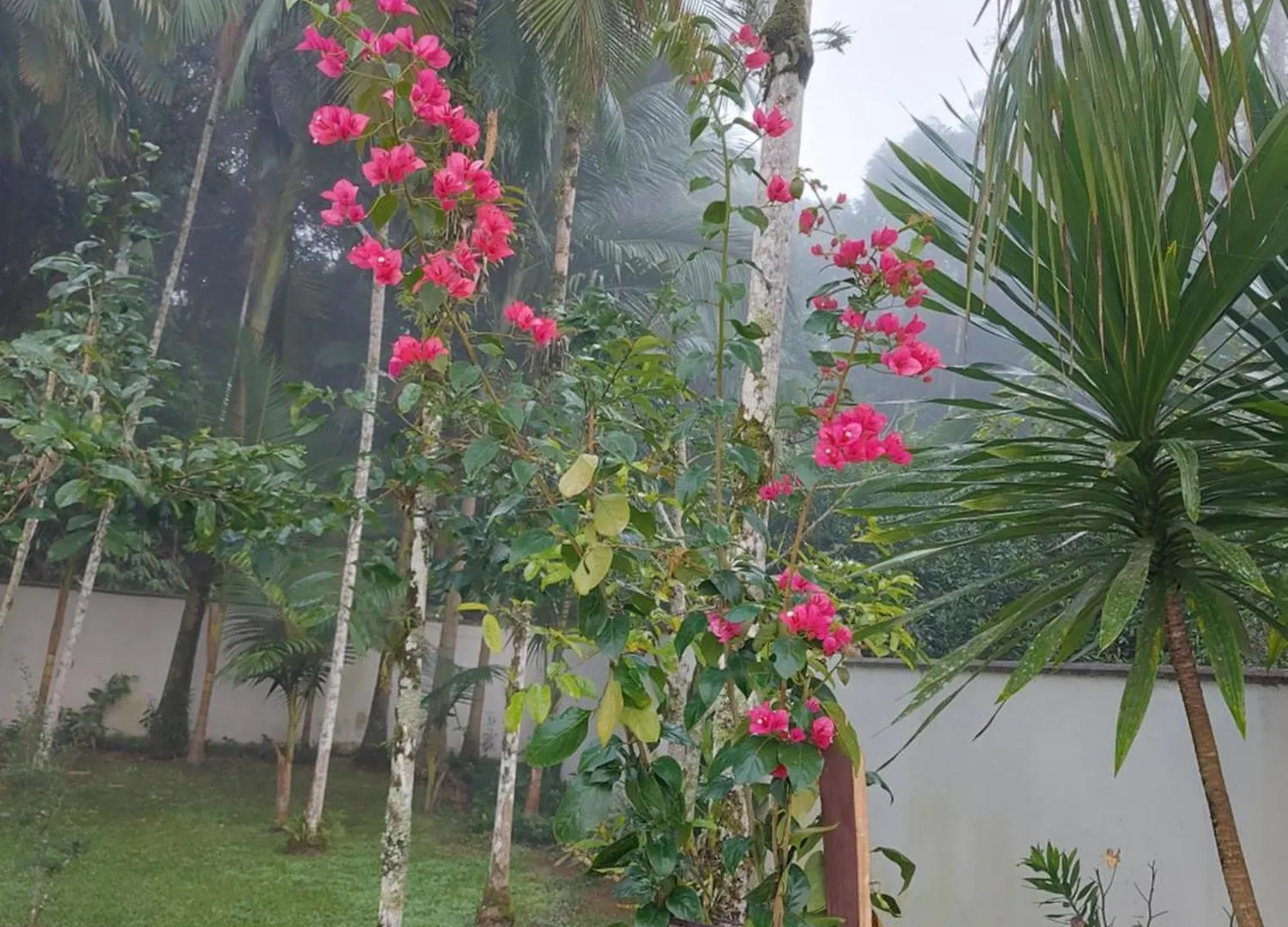 Pitaya Haus Lofts Apartamento Brusque Quarto em Acomodações Particulares